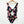 CCX by City Chic Black Floral Cut Out One Piece Swimsuit UK 20